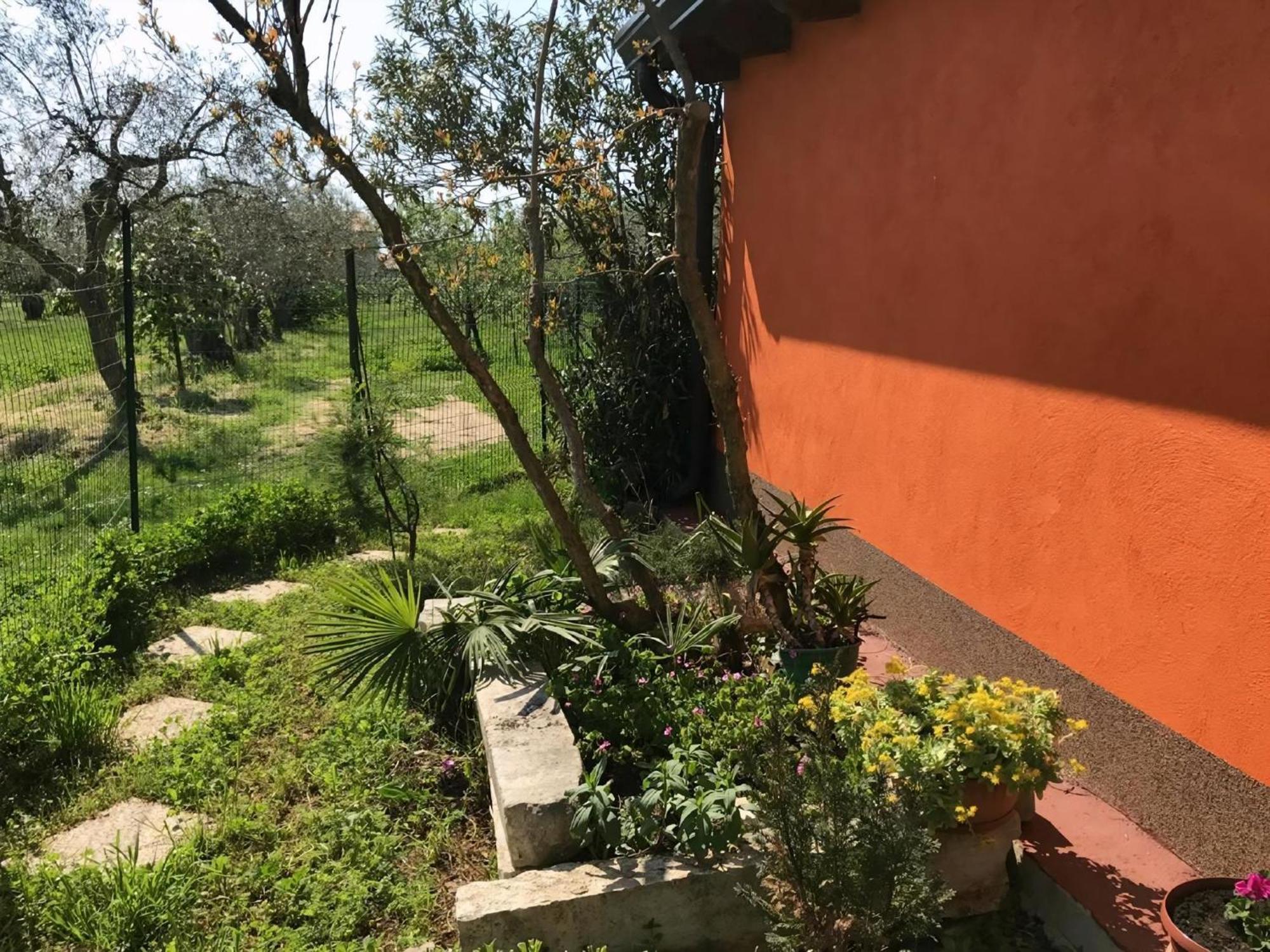Apartment Schoene In Babici Mit Kleiner Terrasse